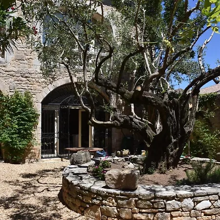 Prieure Du 17e Dans L'ardeche Meridionale 3* Vagnas