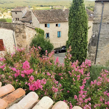 Prieure Du 17e Dans L'ardeche Meridionale 住宿加早餐酒店 瓦纳斯